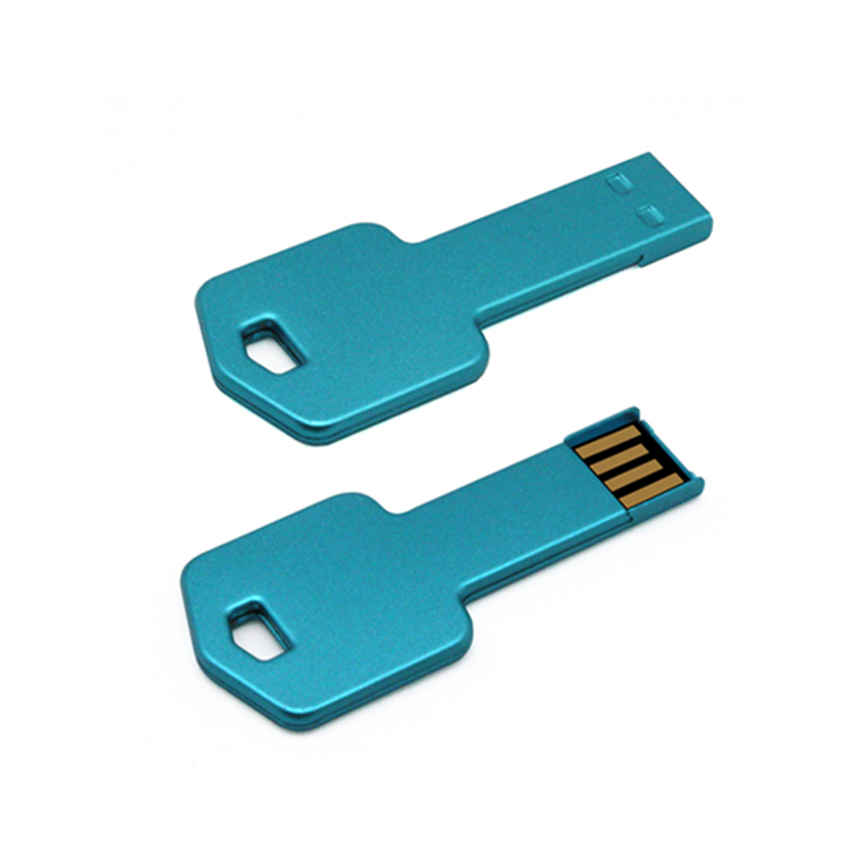 Promotional Gift Key Shape USB Flash Drive with Free Logo Printing