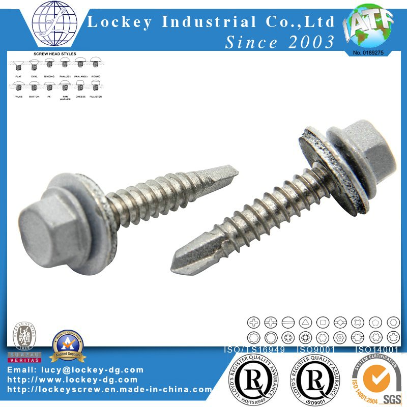 Stainless Steel 304 Tek Screw