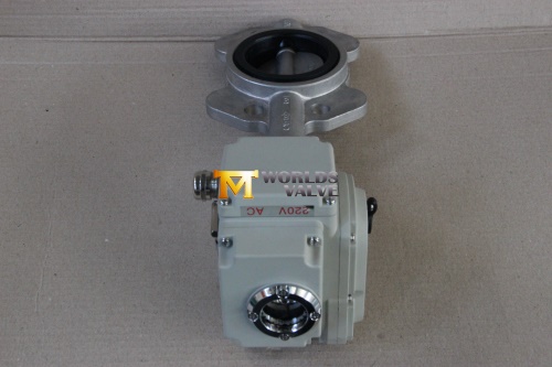 Stainless Steel Wafer/Lug/Flanged Butterfly Valve (CBF01-TA01)