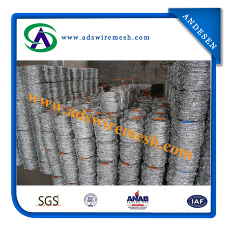 Competitive Price Double-Twist Barbed Wire Screwed