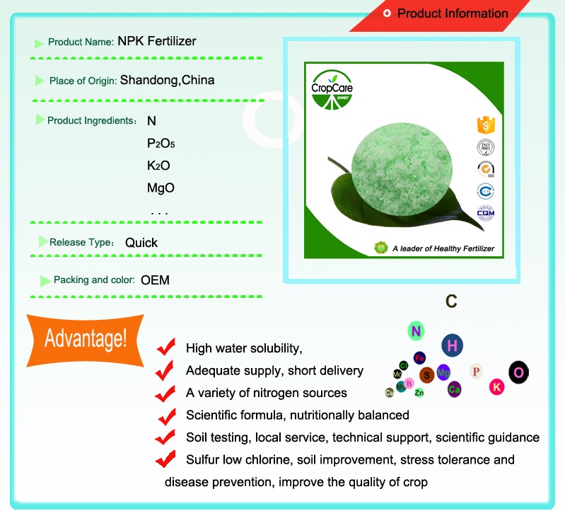 High Quality Fertilizer NPK 24-6-10