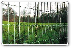 Security PVC Coated Welded Wire Mesh Euro Fence (Anjia-065)