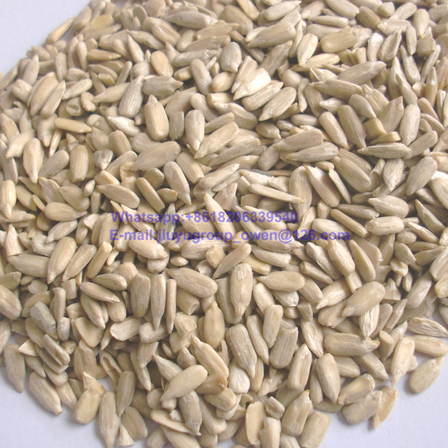 Health Food Sunflower Seeds Kernel