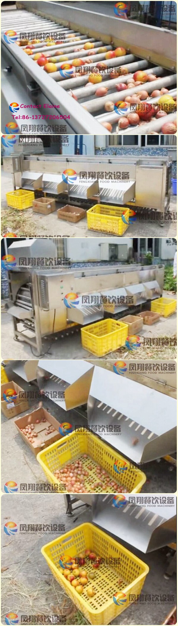 Commercial Roller Type Blueberry Apple Citrus Fruit Sorting Machine