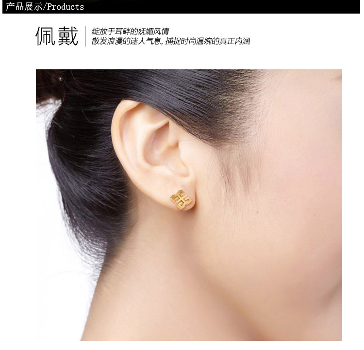 Fashion Jewelry Stainless Steel Antique Earring