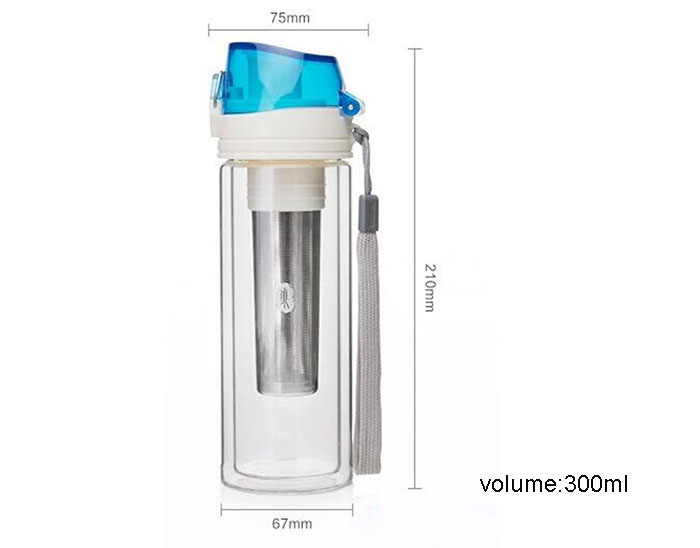 Portable Double Wall Galss Tea Bottle with Infusion