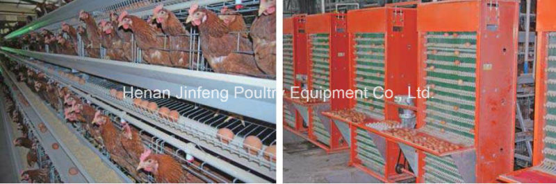 Poultry Farm Layer Chicken Cage in China