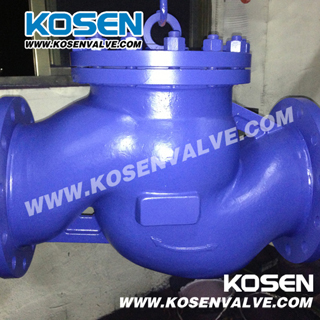 DIN Swing Check Valves (H44)