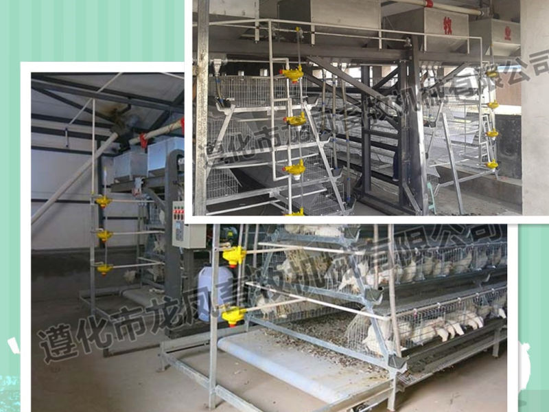 New Design Low Cost Battery Broiler Cage with Certificate of ISO9001