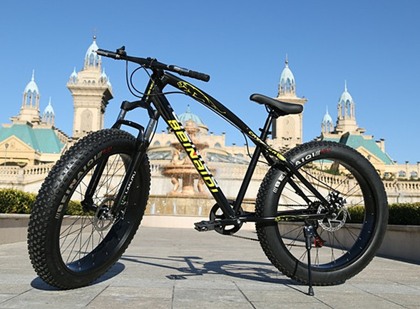 Fat Bike/Fat Beach Bike/Fat Sand Bike/Fat a/T Bike/Fat Snow Bike