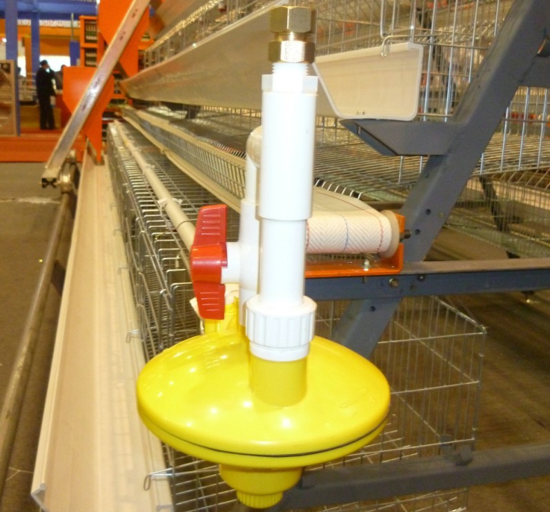 Automatic Feeding Machine for Chicken