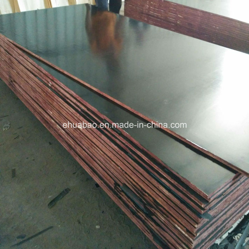 1220*2440mm First Grade Film Faced Plywood