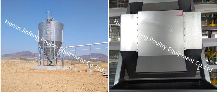 China Supplier Farm Machinery Layer Chicken Cage for Sale