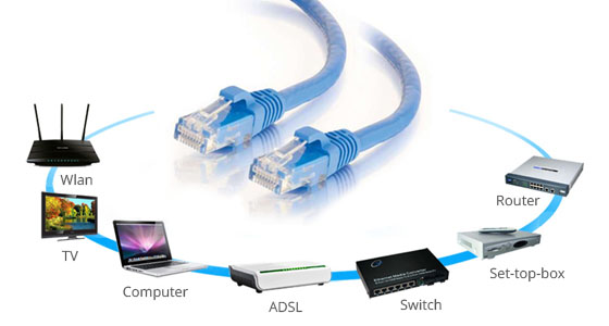 China Made Factory Price UTP Cat5e LAN Cable 1000FT Green