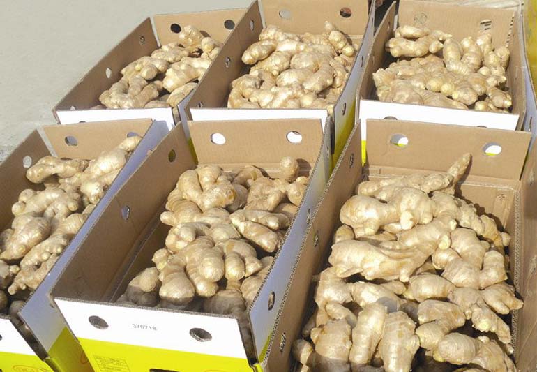 High Quality Air Dried Ginger