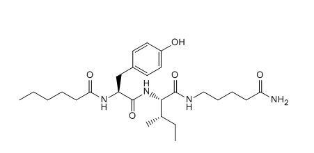 Nootropics Dihexa Withcas: 1401708-83-5