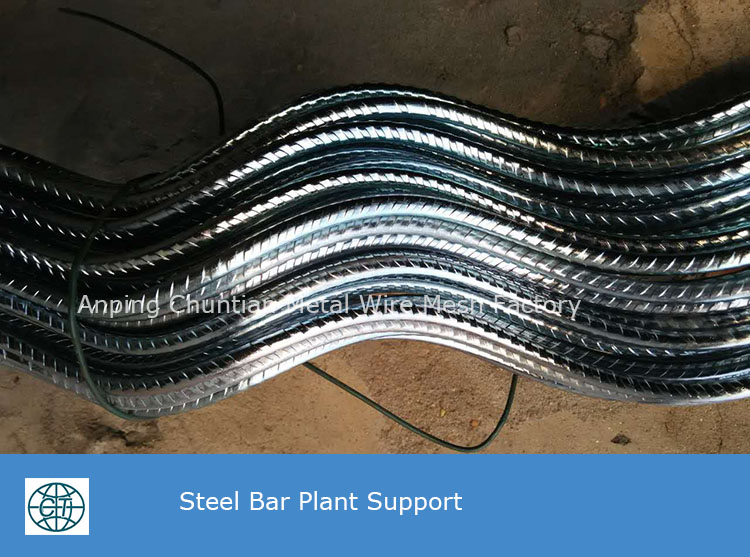Galvanized Tomato Spiral Support for Planting Climp