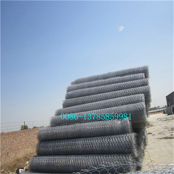 Professional Manufacturer of PVC Coated Gabion, PVC Gabions