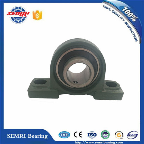 High Quality Pillow Block Bearing (UCP202-UCP220)