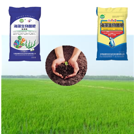 Bio Organic Fertilizer from Seaweed Extract (Base Fertilizer)