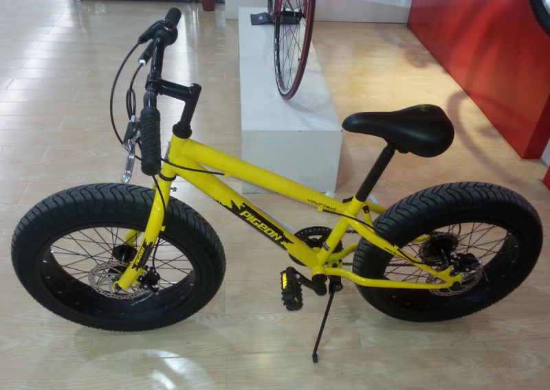 Rear 6 Speed Youngster Mountain Bike 20