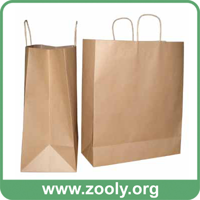 Eco-Friendly Natural Brown Kraft Paper Shopping Gift Bags with Twisted Paper Handles