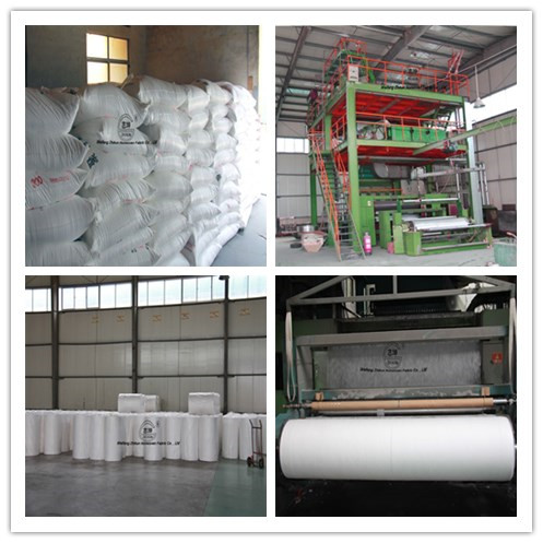 High Quality PP Spunbond Nonwoven Fabric for Agriculture