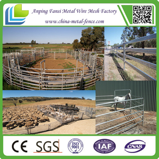 Australia Standard Hot DIP Galvanized Steel Cattle Panel
