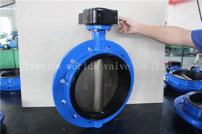 ISO5752 Series16 Monoflange Butterfly Valve with Ce ISO Wras Approved (D41X-10/16)