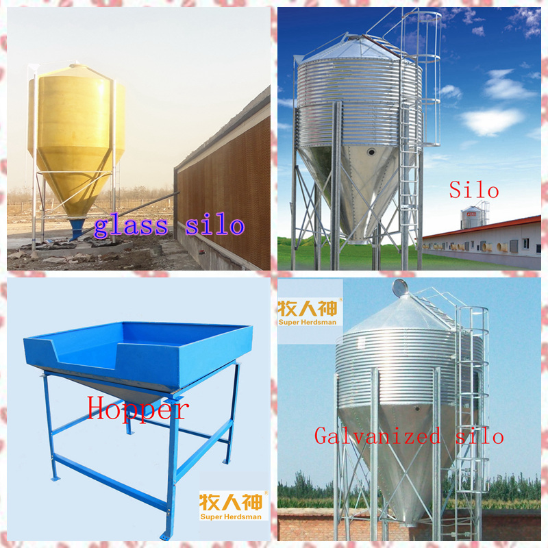 Poultry Farm Equipment with House Construction for One-Stop