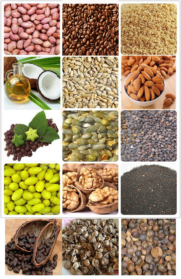 Almond Sesame Peanut Coconut Camellia Moringa Pumpkin Mini Oil Mill