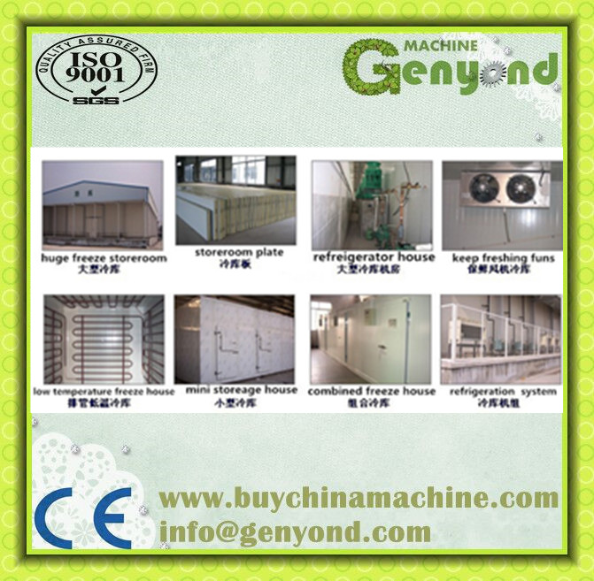 Food Cold Refrigeration Storage Room for Fruits and Vegetables