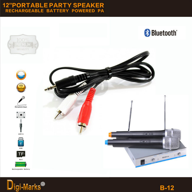 New 12'' Popular Bluetooth Wireless MP3 FM/USB/SD/TF Mini Speaker