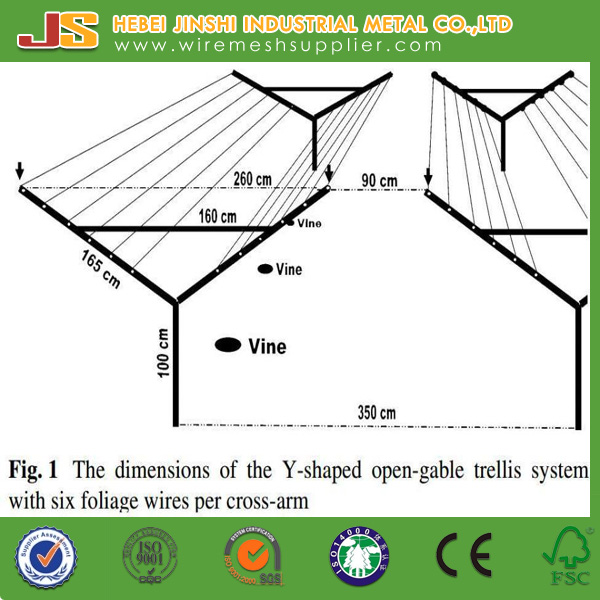 1460mmx1120mm Galvanized Steel Y Shaped Open Gable Vineyard Trellis Post