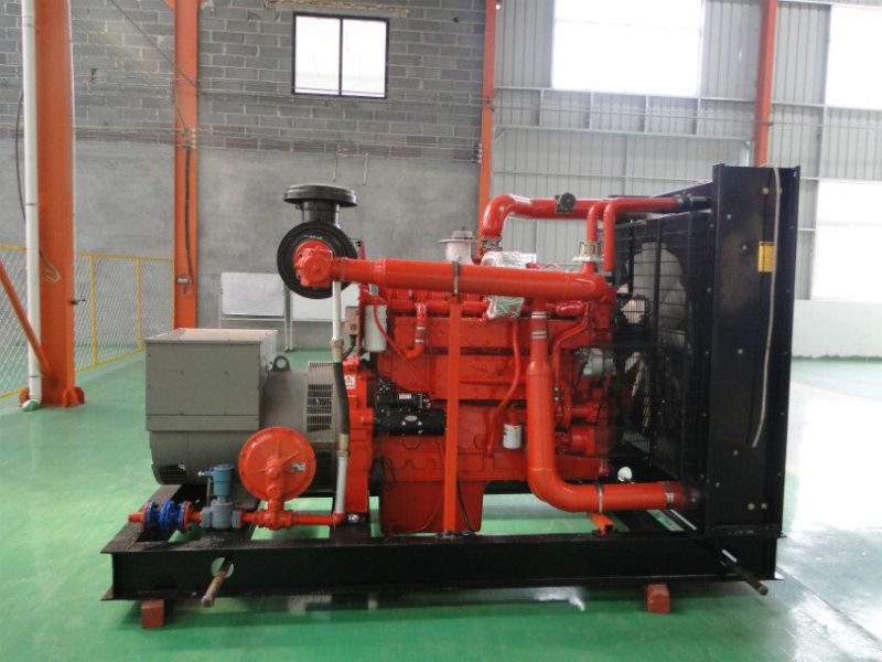 30kw-500kw High Quality Natural Gas/Biogas Fuel Commins Engine Generator