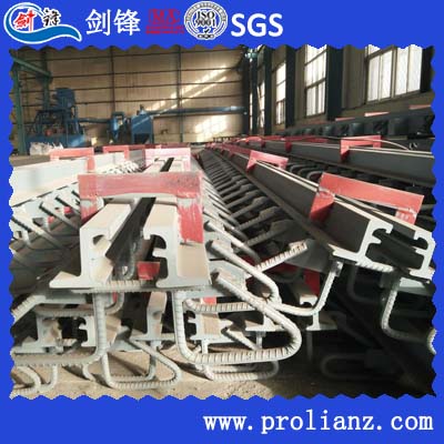 High Performance Modular Bridge Expansion Joint to USA