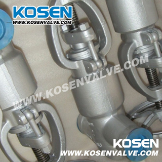 Forged Steel Pressure Seal Globe Valve (J61Y)