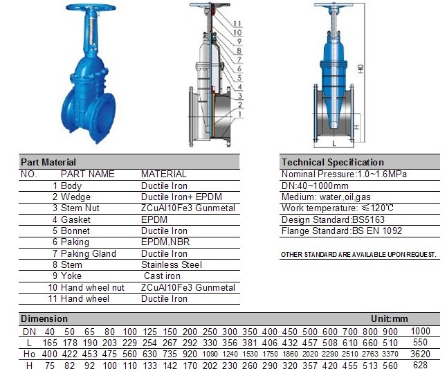 Ductile Iron Fire Fighting Rising Stem Gate Valve