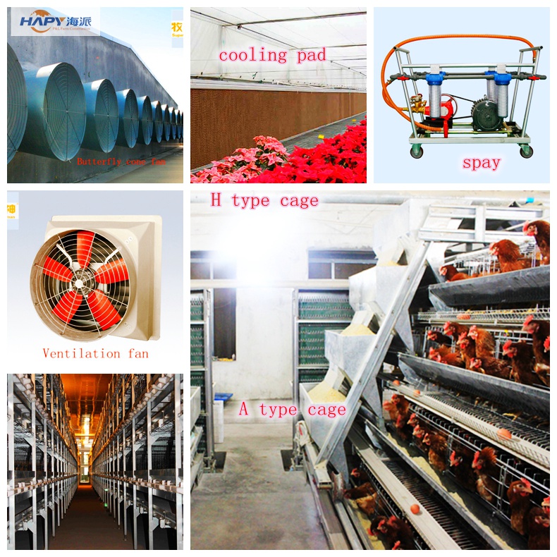 Farm Equipment in Poultry House with Prefab House Structure