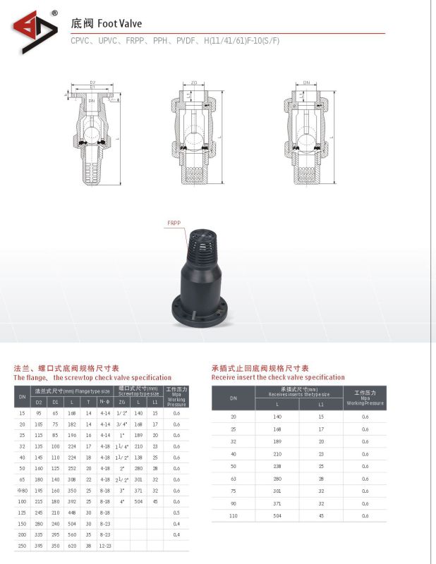 CPVC Foot Valve, Plastic Foot Valve/Bottom Valve