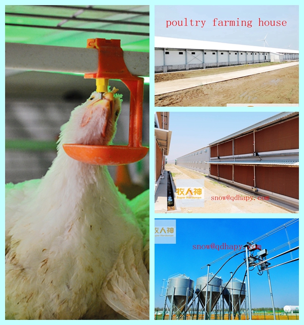 Poultry Control Shed Equipment with Prefabricated House Construction for One-Stop