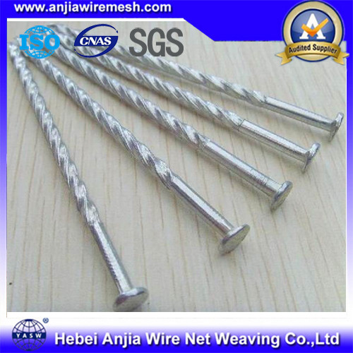 Galvanized Iron Nails Roofing Nails / Common Nails / Concrete Nails