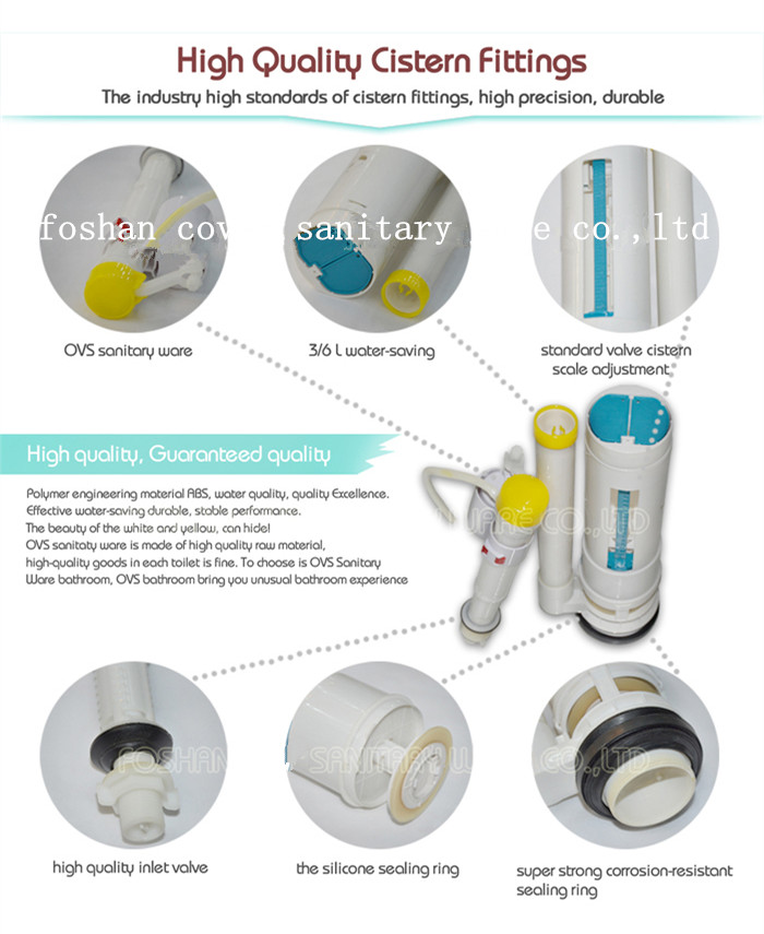 Siphonic S-Trap 300mm Roughing-in Toilet (CVT820)