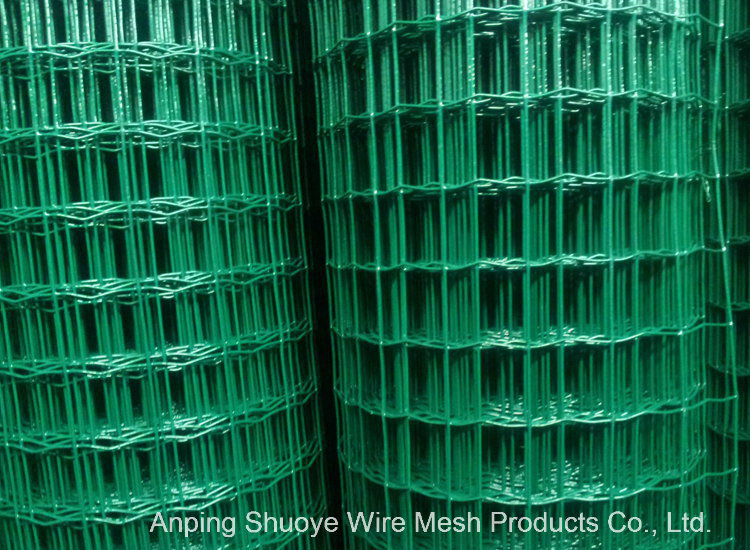 Welded Wire Mesh Panel for Fencing