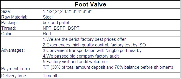 Cast Iron Red Foot Valve