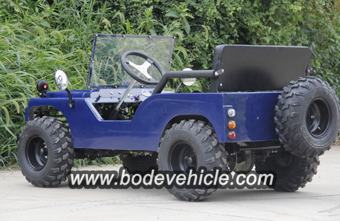 Bode New 500W Electric Dune Buggy