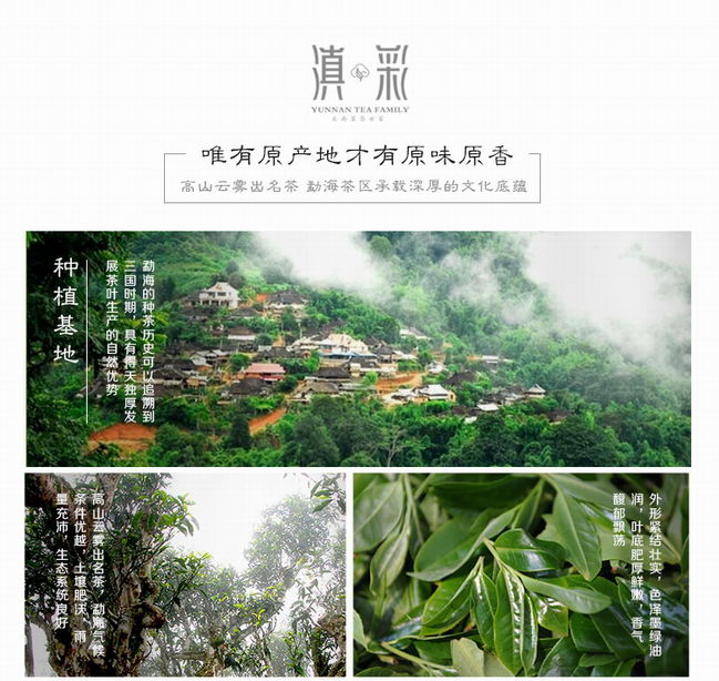 Yunnan Lose Weight and Treat Constipation Functional Organic Ripe PU Erh Tea