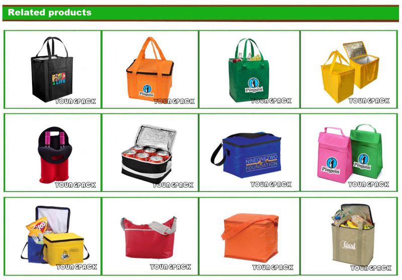 Custom Full Color Printed PP Laminated Non-Woven Reusable Promotional Cooler Bag