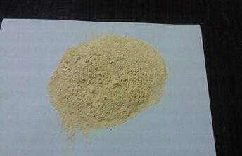 (Ginseng Extract) Inhibit Aging Ginseng Extract