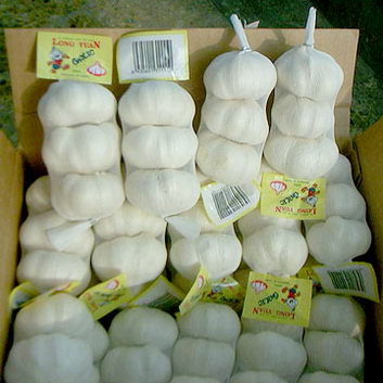 Chinese Fresh Normal White 6.0-6.5cm Garlic